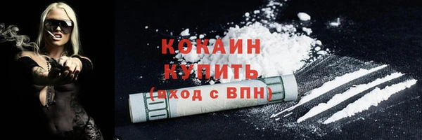 кокс Алексин