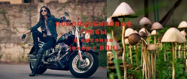 кокс Алексин