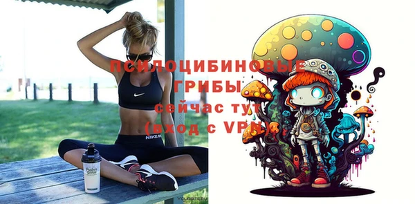 apvp Алзамай