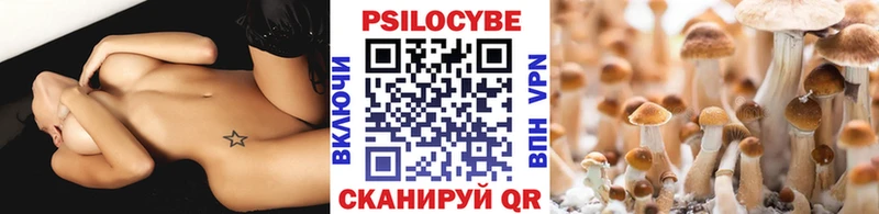 гидра как зайти Кропоткин Псилоцибиновые грибы MAGIC MUSHROOMS